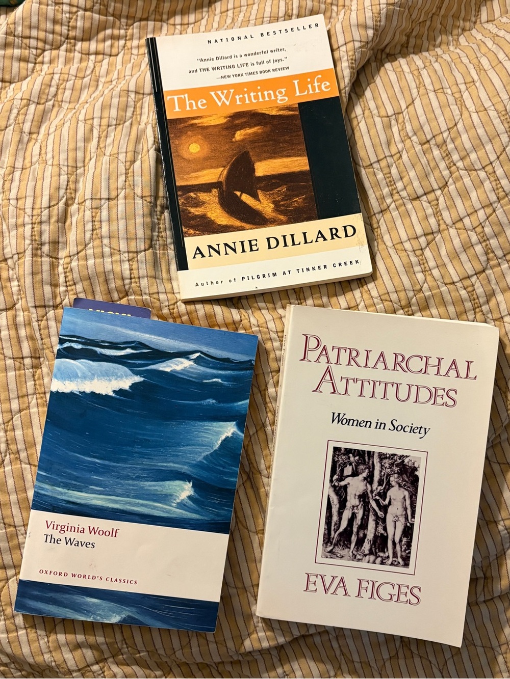 Bundle of Three Feminist Literature Paperback Novels / Books